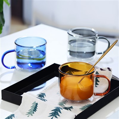 Double Wall Glass Mug